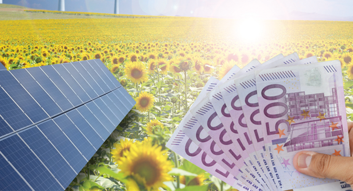 Unlocking Energy Savings: Your Guide to SEAI Grants