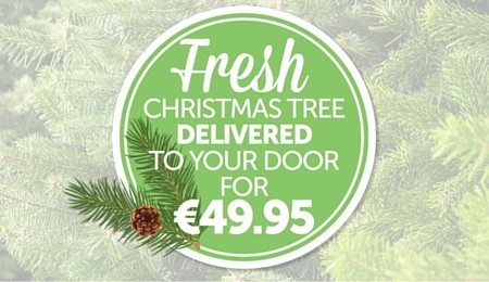 Fresh Christmas Trees Only €49.95