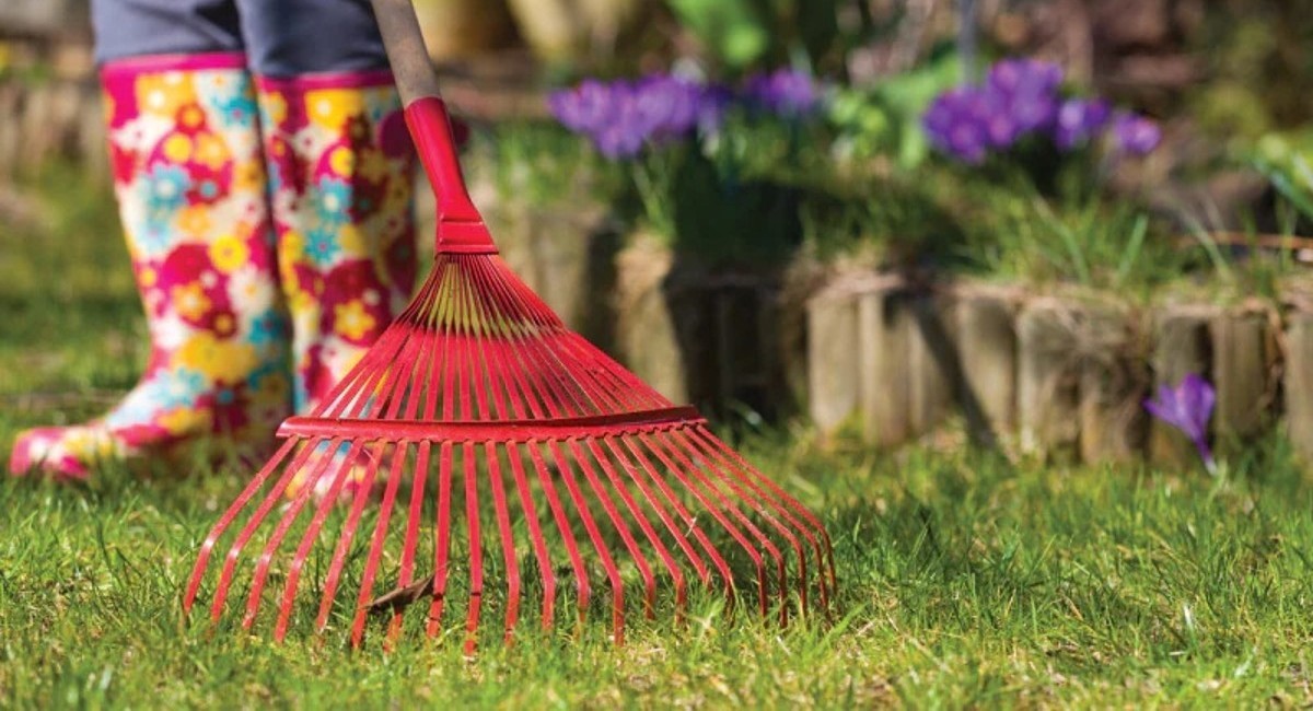 Tasks, Tools, and Basic Knowledge to Launch Your Garden Spring Clean