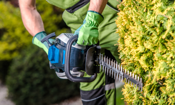 How to Choose the Best Tools for Outdoor Landscaping and Gardening jobs