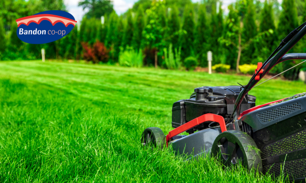 Spring Lawn Care Tips for a Lush and Healthy Yard