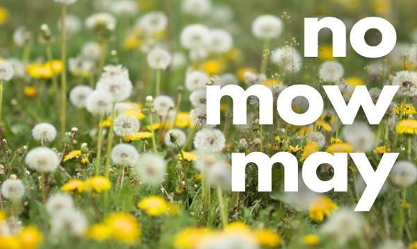 No Mow May