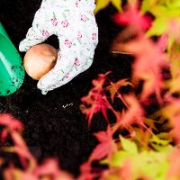 Huge Savings this November in our Garden Centres