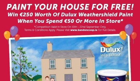 Paint your House for Free