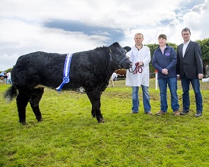 Results for Bandon Agricultural Show’s Super Young Heifer Class