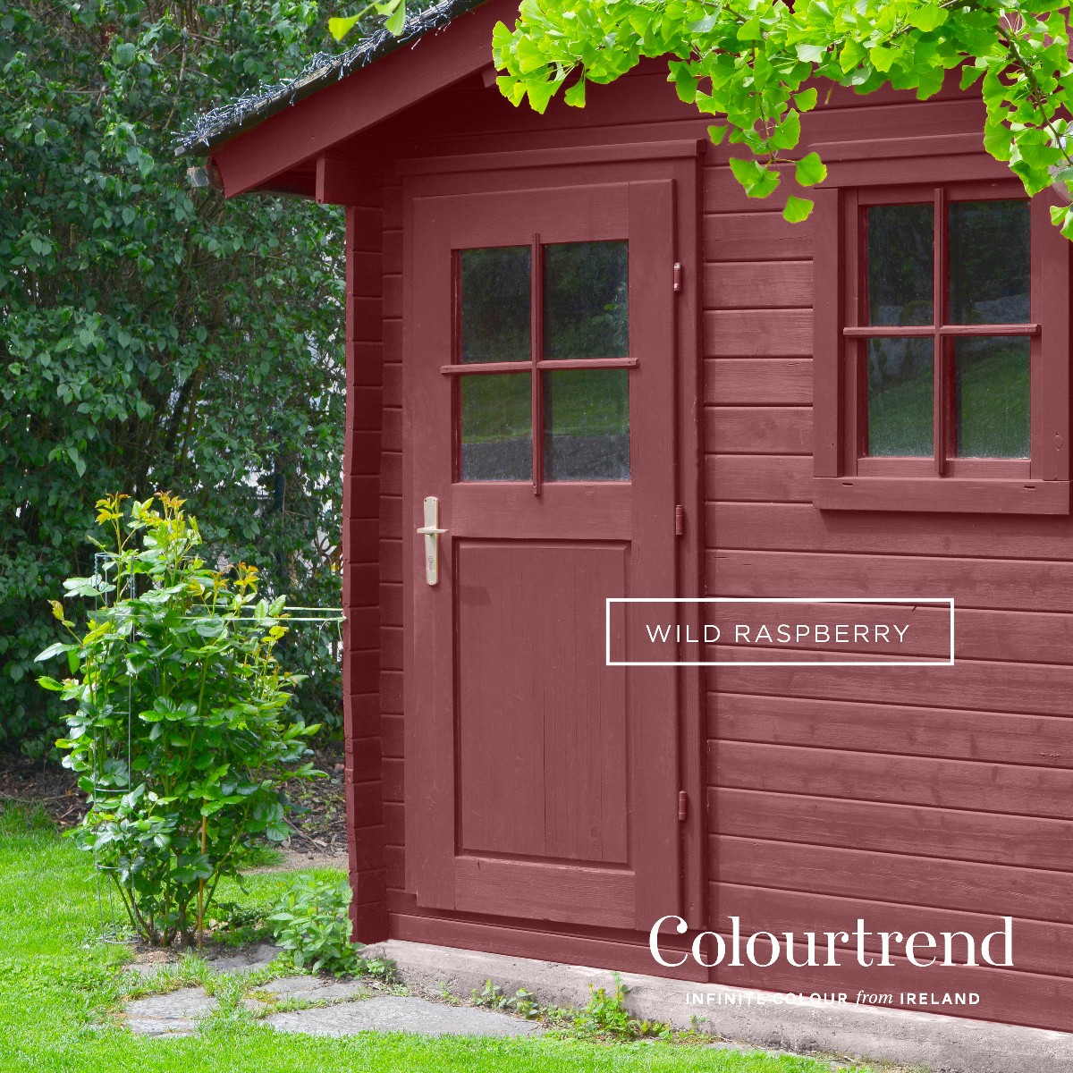 Colourtrend Wild Raspberry on Wooden Shed