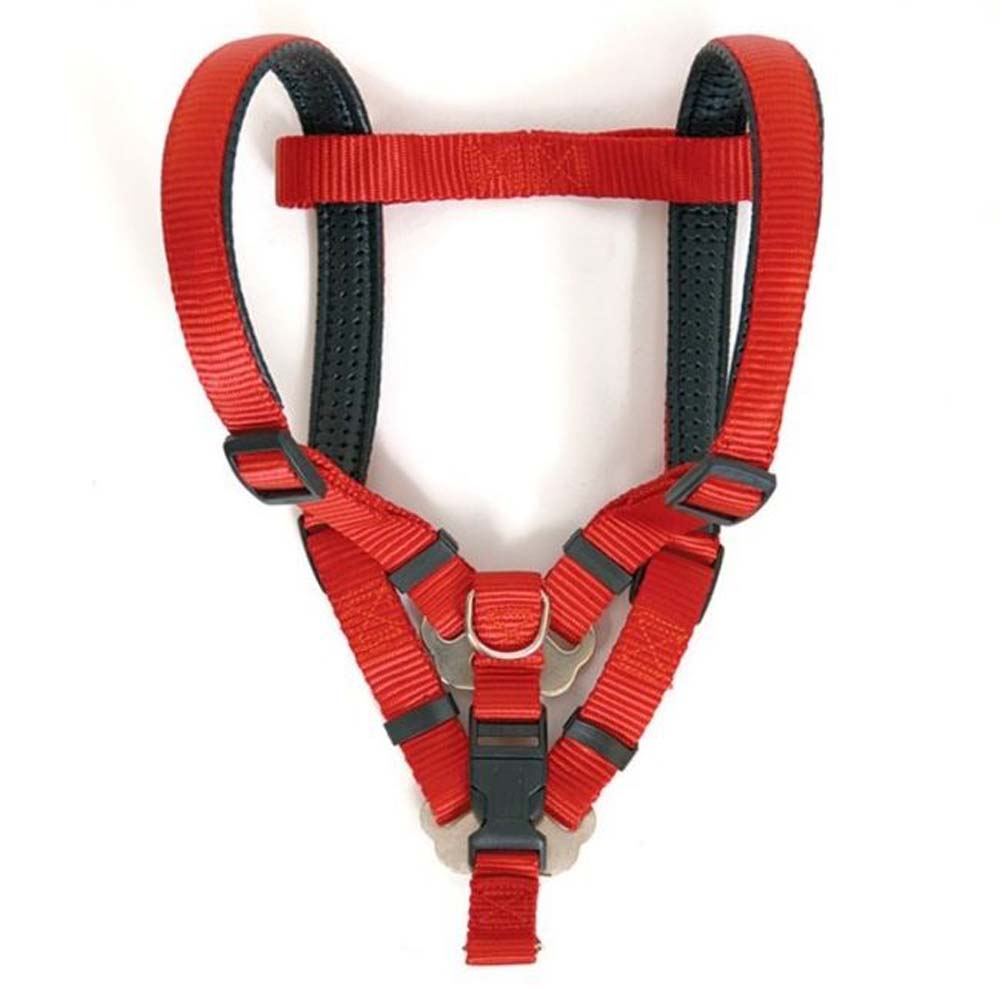 CHANELLE PADDES NYLON HARNESS 15MM RED