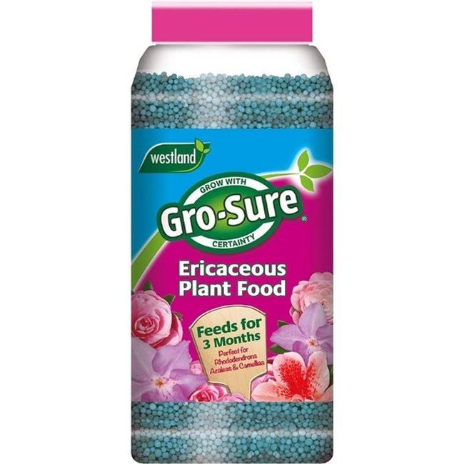 MIRACLE GRO SLOW RELEASE ERICACEOUS PLANT FOOD JAR