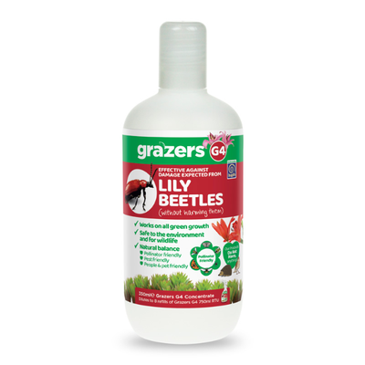 GRAZERS G4 LILY BEETLE 350ML CONCENTRATE
