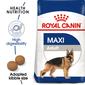 ROYAL CANIN MAXI ADULT 15 MONTHS/6 YEARS 4KG