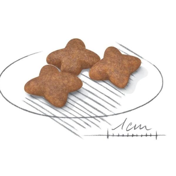ROYAL CANIN MINI ADULT 10MONTHS/8YEARS 8kg - Image 2