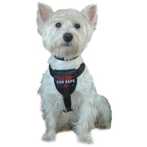 CLIX X-SMALL CAR HARNESS