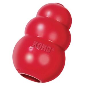 CLASSIC KONG TOY SMALL