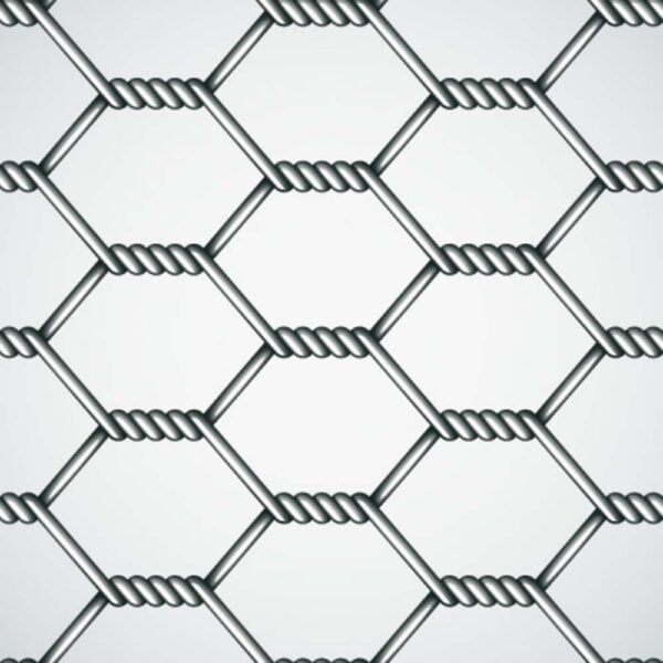 48 X 2 WIRE NETTING - 50YDS