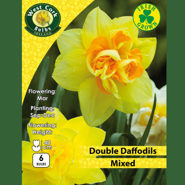 MIX DOUBLE DAFFODILS 3KG NET 12/14
