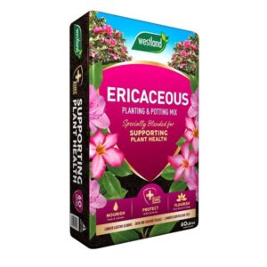 WESTLAND ERICACEOUS PLANTING & POTTING MIX 60L