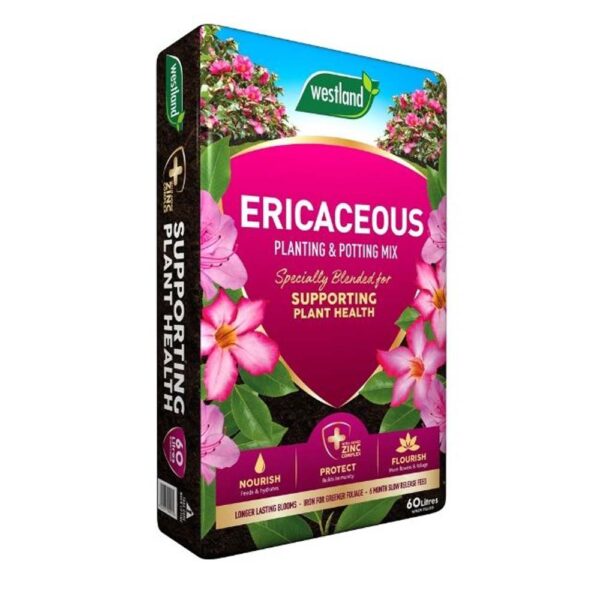 WESTLAND ERICACEOUS PLANTING & POTTING MIX 60L