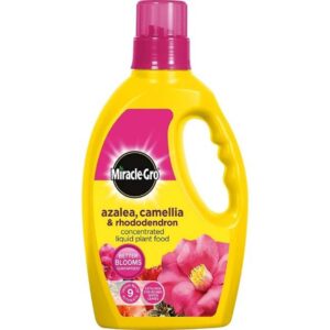 MIRACLE GRO ERICACEOUS PLANT FOOD LIQUID - 1 LITRE