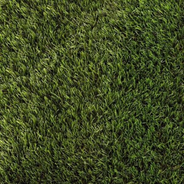 ARTIFICIAL DAISY GRASS 30MM - 4MTR