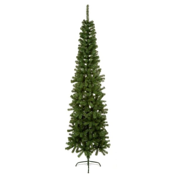 SPRUCE PINE 1.7M 5.5FT