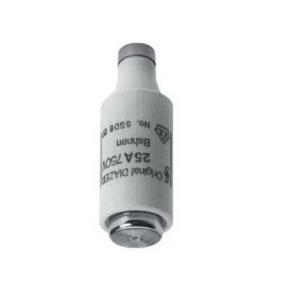 PHOENIX DZ FUSES 10 AMP