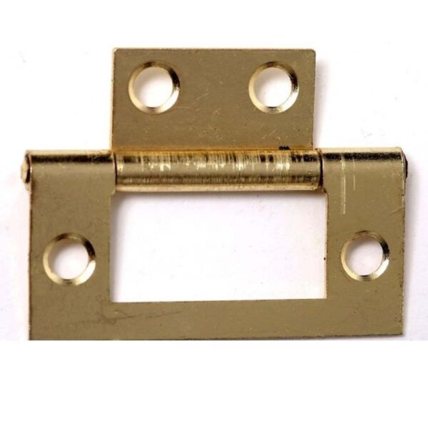 PHOENIX 50MM EB FLUSH HINGE (PR) (TP)