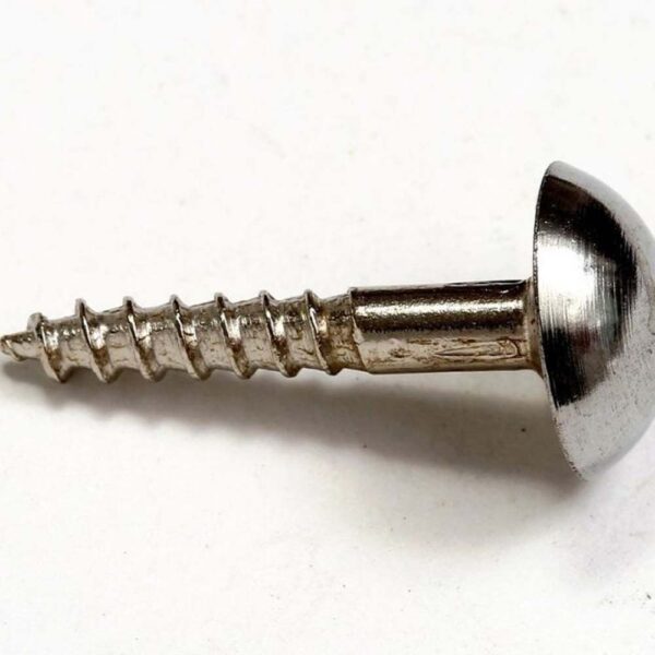 PHOENIX 1 1/2 MIRROR SCREWS CHROME (6) (TP)