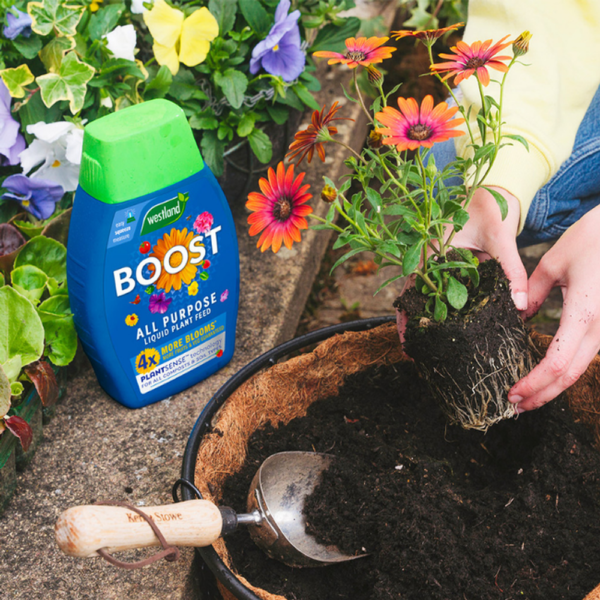 BOOST ALL PURPOSE PLANT FEED - Image 2