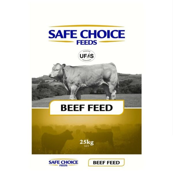 16% BEEF CUBE SCF 25KG
