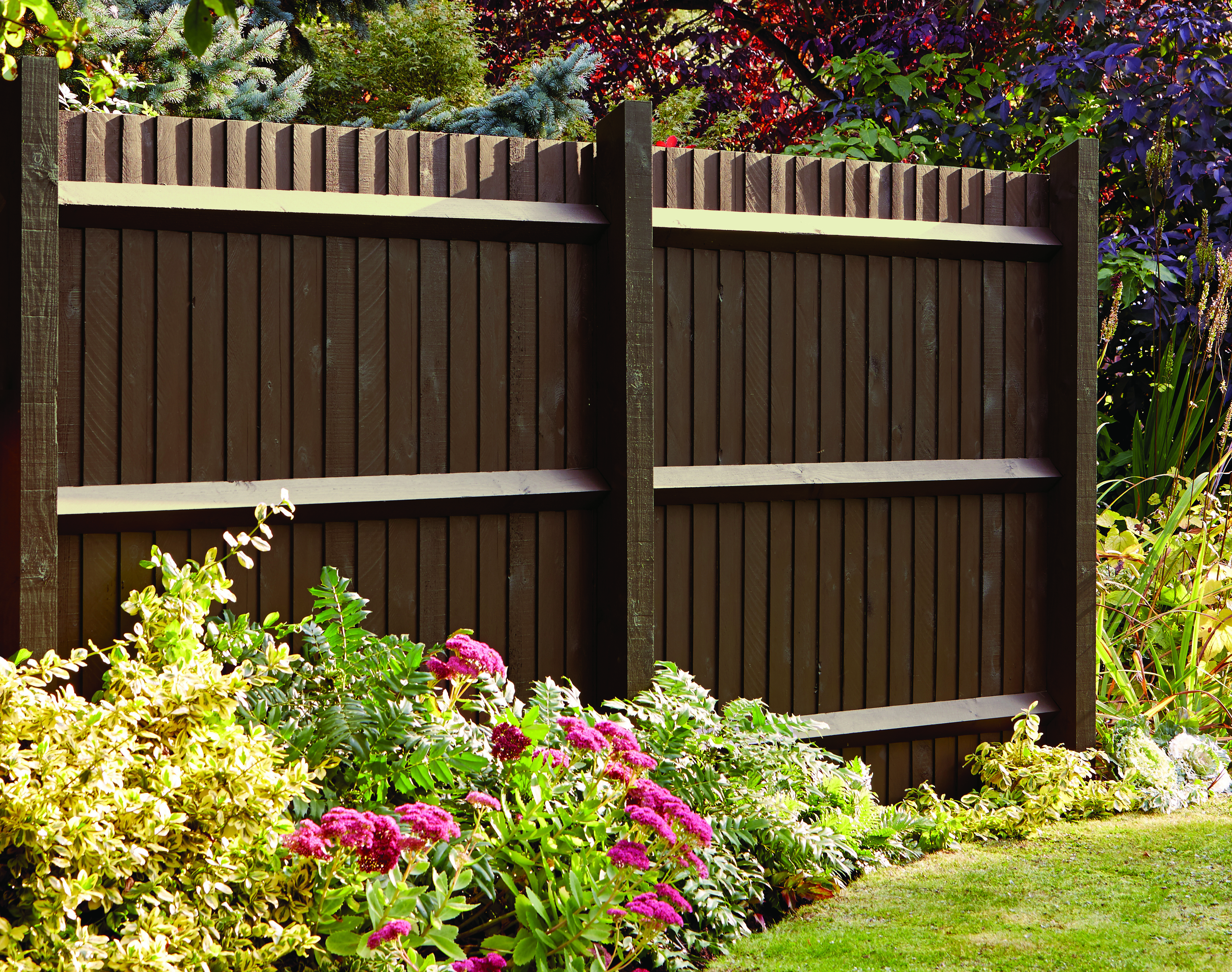 Painted fence Ronseal English Oak