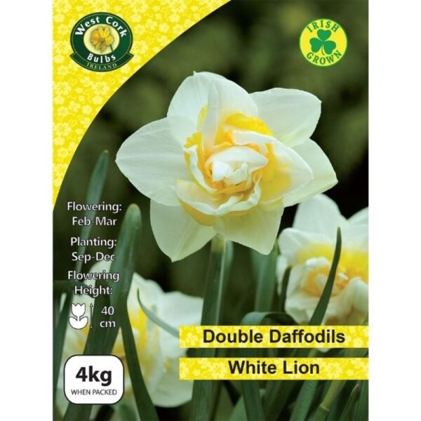 WHITE LION DOUBLE DAFFODILS 4KG