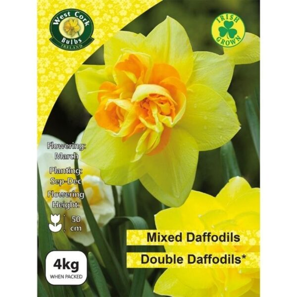 MIX DOUBLE DAFFODILS 4KG