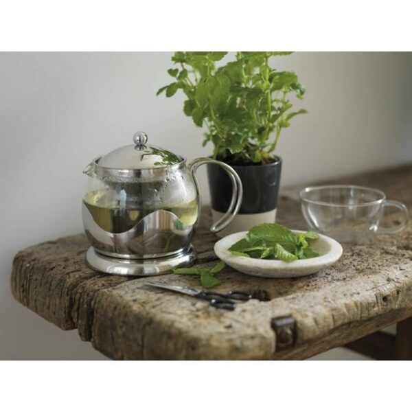GLASS TEA POT 4 CUP - Image 2