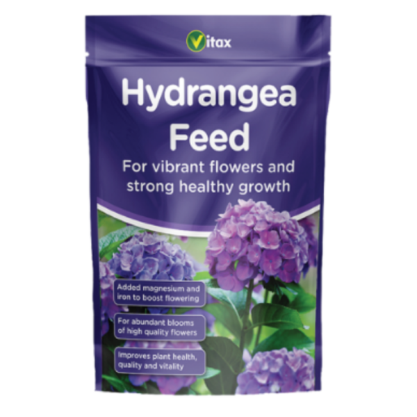 HYDRANGEA FEED