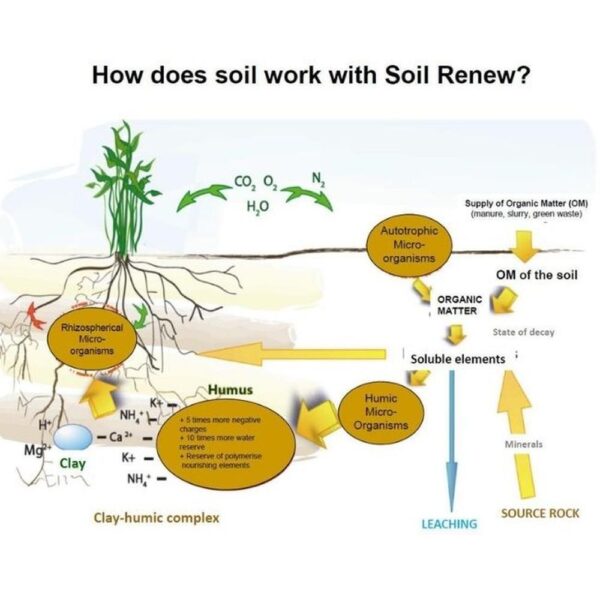 SOIL RENEW 3KG - Image 2