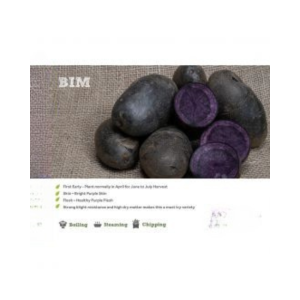 BIM SEED POTATOES 2KG