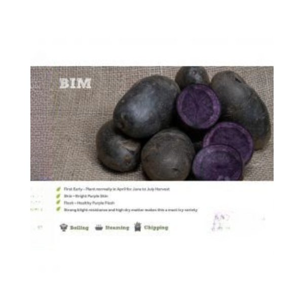 BIM SEED POTATOES 2KG