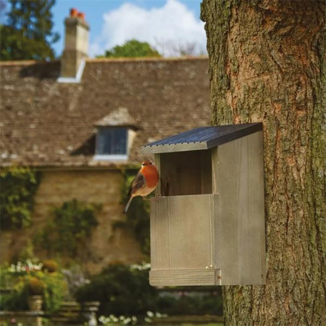 GARDMAN ROBIN NEST BOX - Image 2