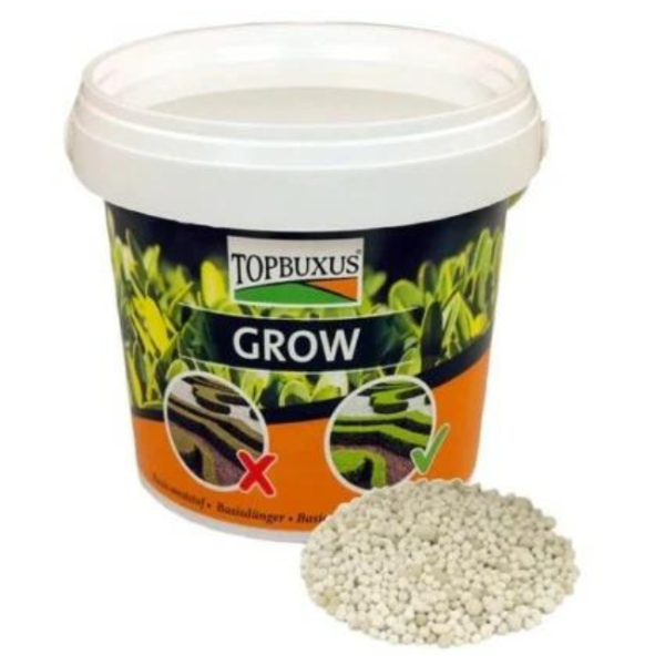 TOPBUXUS GROW 0.5KG ( 10SQ MTS)