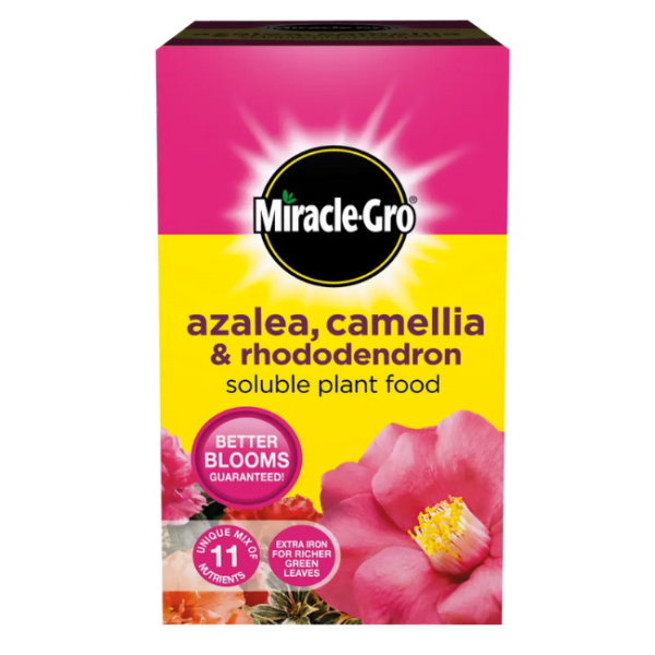 MIRACLE GRO ERICACEOUS PLANT FOOD 500GRM