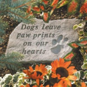 MEMORIAL RANGE ENGRAVED STONE DOGS LEAVE PAW PRINTS...