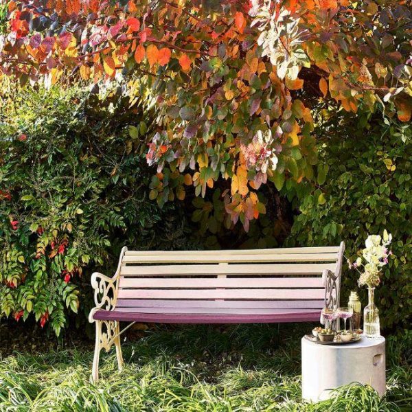 CUPRINOL GARDEN SHADE SUMMER DAMSON 2.5LTR - Image 2