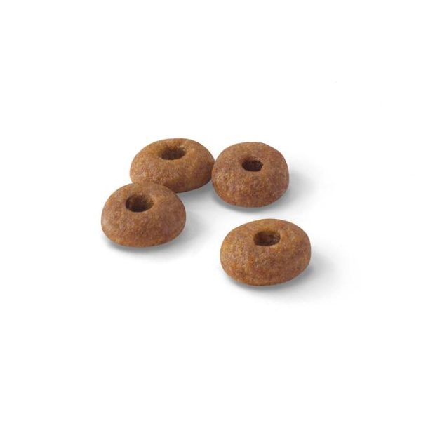 ROYAL CANIN REGULAR CAT 4KG - Image 2