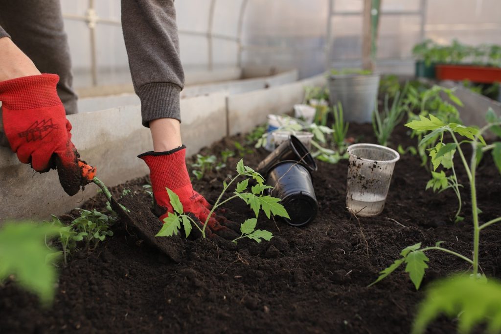 Gardening Talks