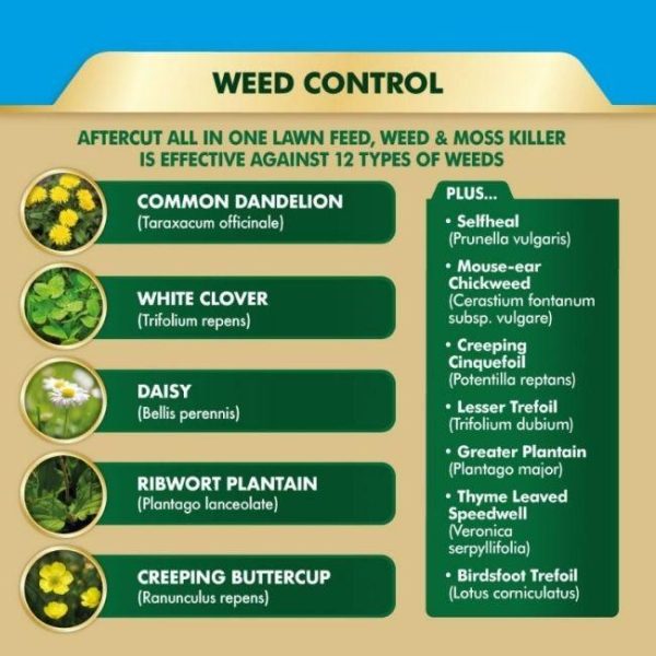 AFTERCUT ALL IN 1 LAWN FEED - Image 2