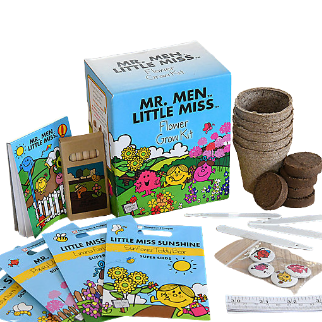 MR MEN/LITTLE MISS KIDS FLOWER GROW KIT (KF0751) - Image 2