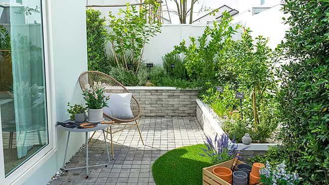 Turn A Small Space into a Prosperous Place for Plants