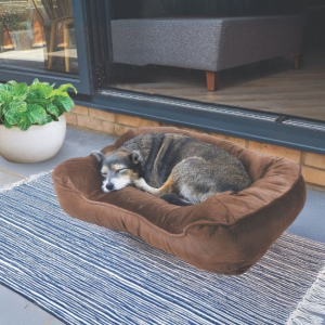 KOMFORT BED - COCOA (L-XL)