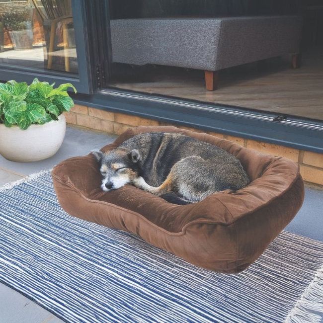 KOMFORT BED - COCOA (L-XL)