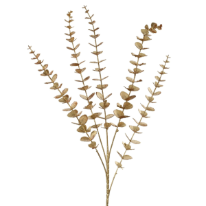 GOLD SPRAY EUCALYPTUS